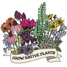 Coltiva piante autoctone del Midwest per la vendita all'ingrosso da parte di Rextooth Studios