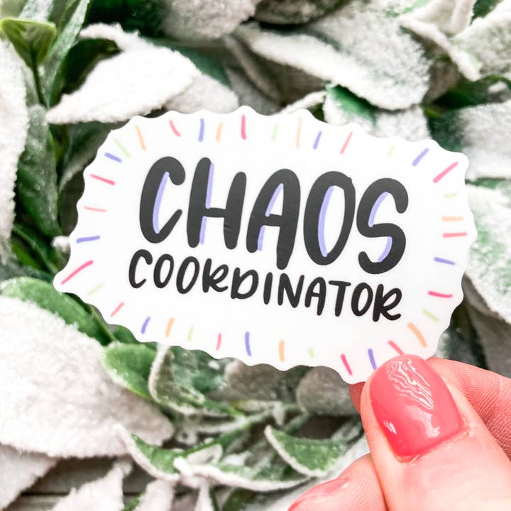 Chaos Coordinate Sticker - Teacher Sticker - Mom Sticker for wholesale by Wild & Precious Boutique