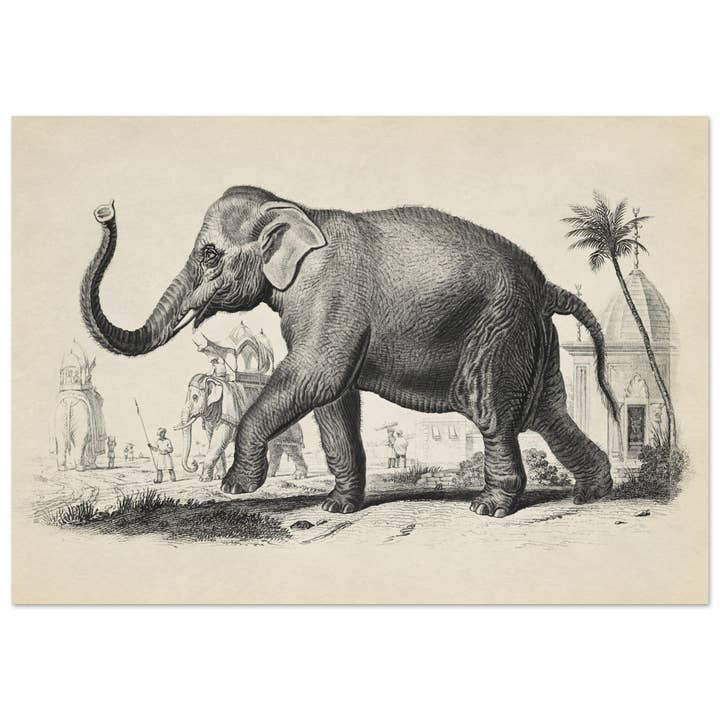 Marching Elephant for wholesale by Maison de Paloma