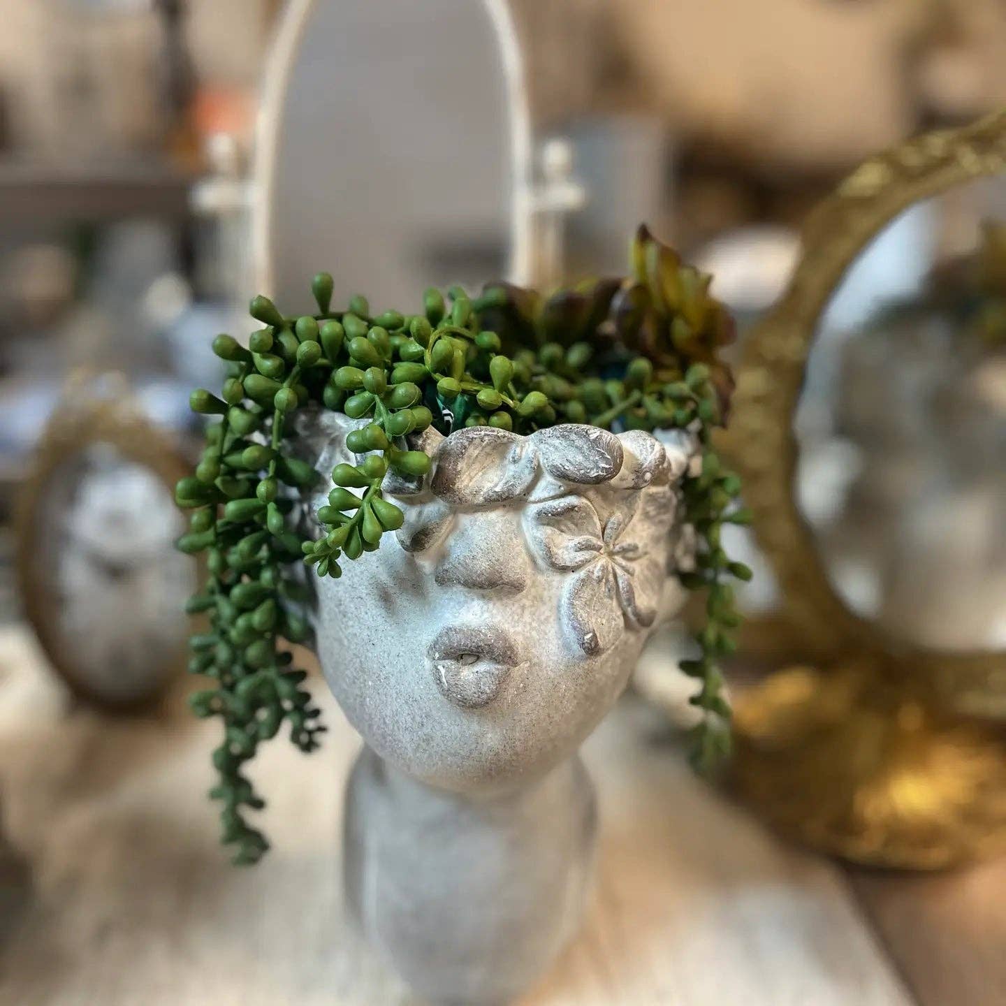 Mothology Home - Vendita all'ingrosso Vasi per piante - CE-TESTAPIANTE-S0