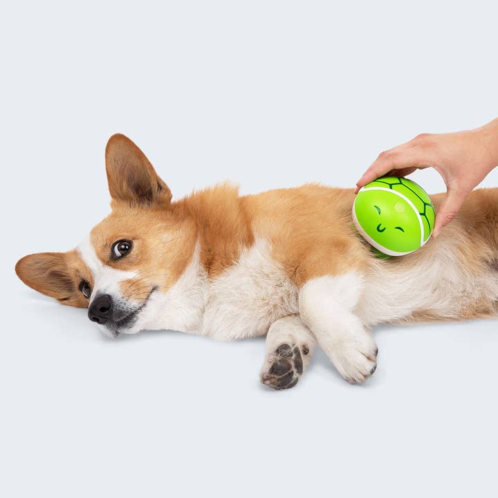What Do You Meme - Wholesale Pet Toy - Dog - Paws & Relax: The Ultimate Pet Massager