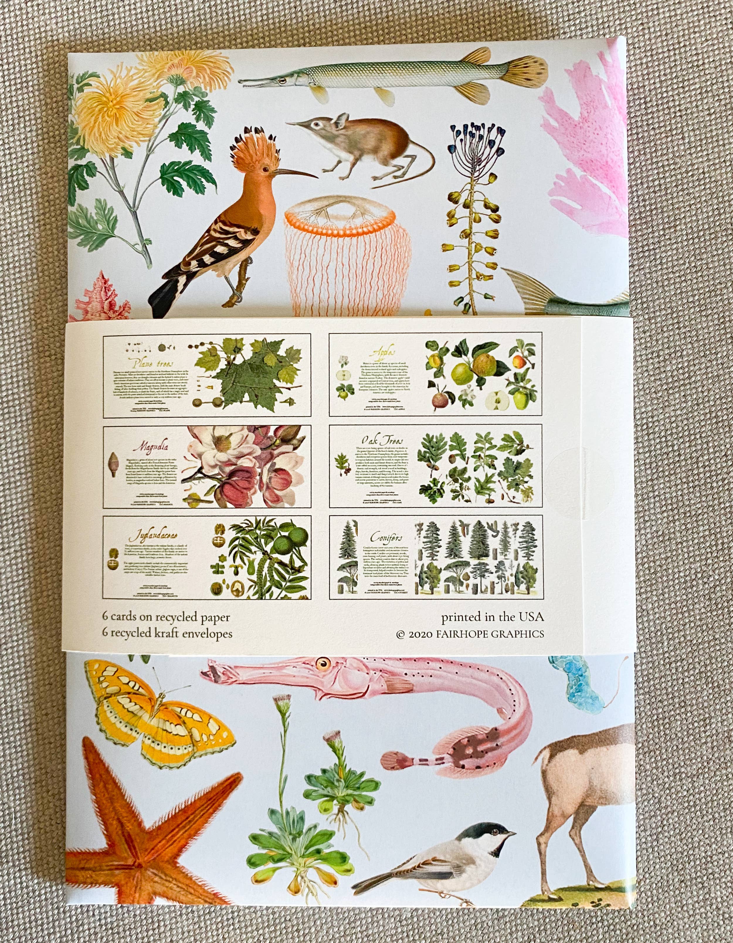 Fairhope Graphics - Vente Assortiments de papeterie/cartes - Paquet de cartes Flowering Trees2