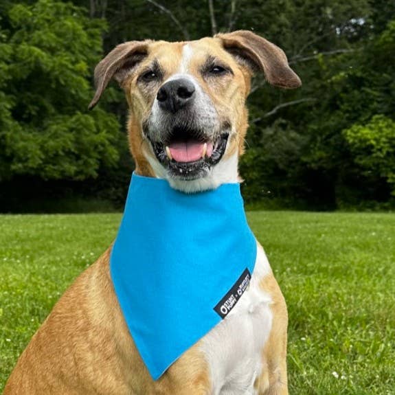 Ocean RUFFLECT®/Bandana para Cães Stunt Puppy por atacado de RUFFLECT Dog Bandanas