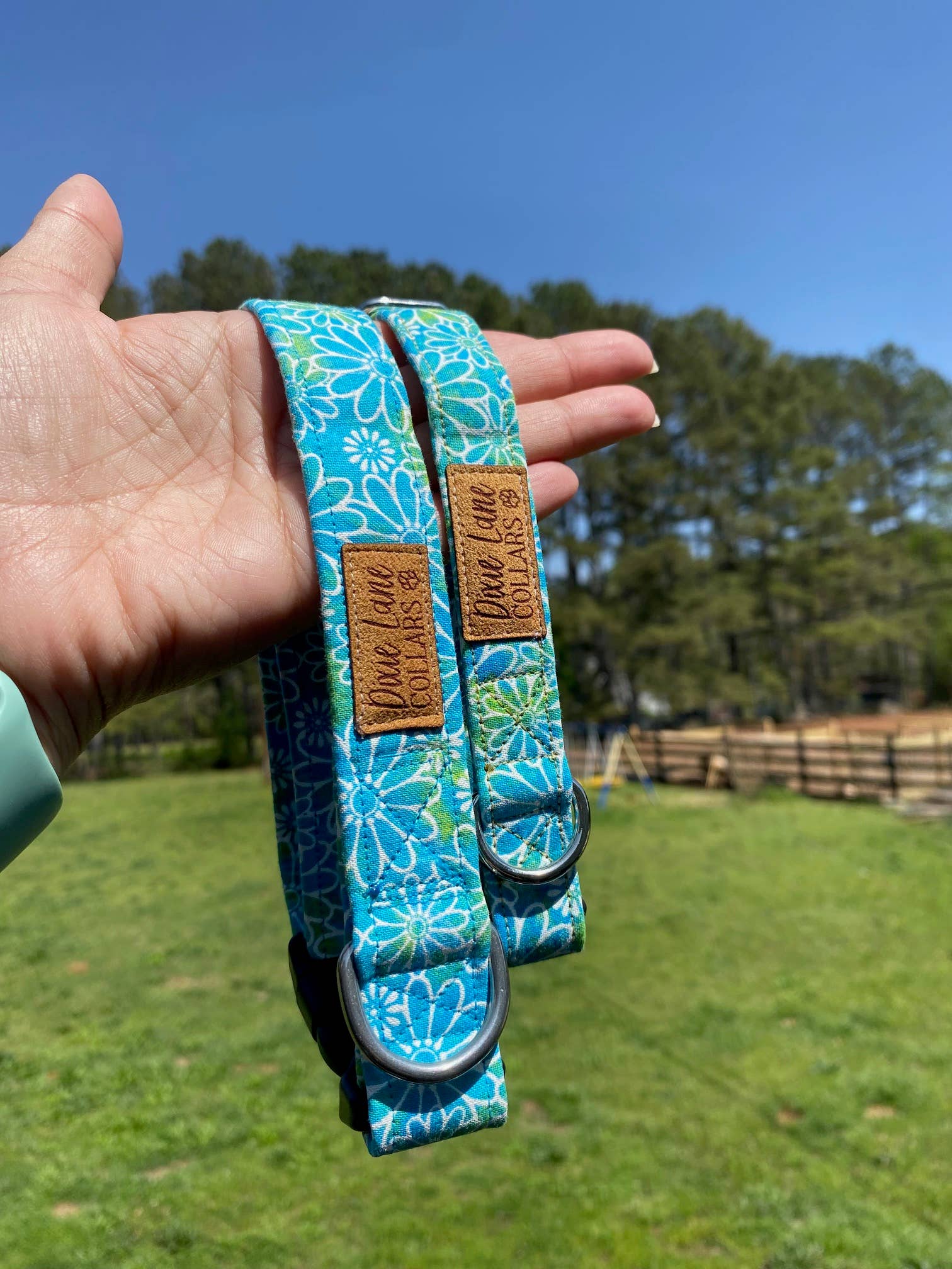 Dixie Lane Collars – coleira - Cão por atacado – Coleira para Cão Margarida Azul-Esverdeada, Primavera/Verão, Dixie Lane Collars3