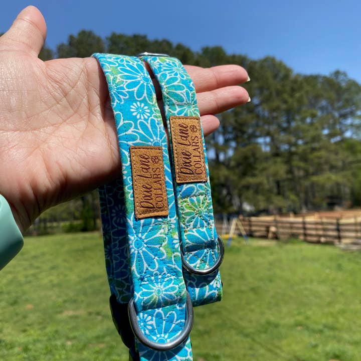Dixie Lane Collars - Wholesale Pet collar – Dog - Teal Daisy Dog Collar, Spring/Summer, Dixie Lane Collars3