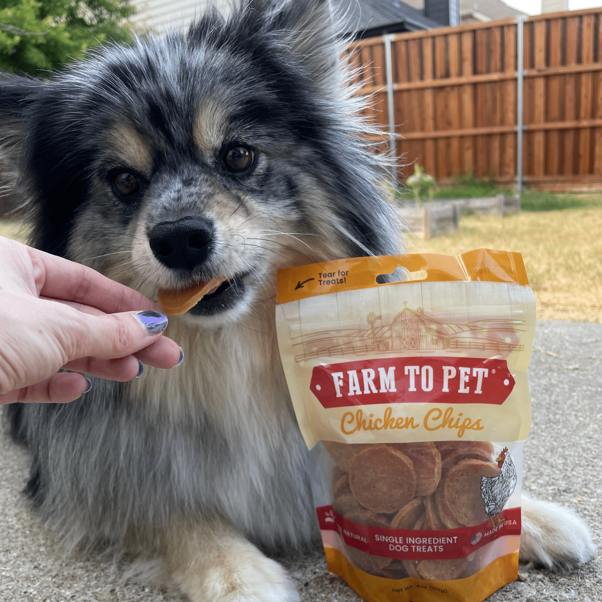 Farm to Pet Healthy Dog Treats - Wholesale Pet Treats - Dog - Chicken Chips Dog Treats3