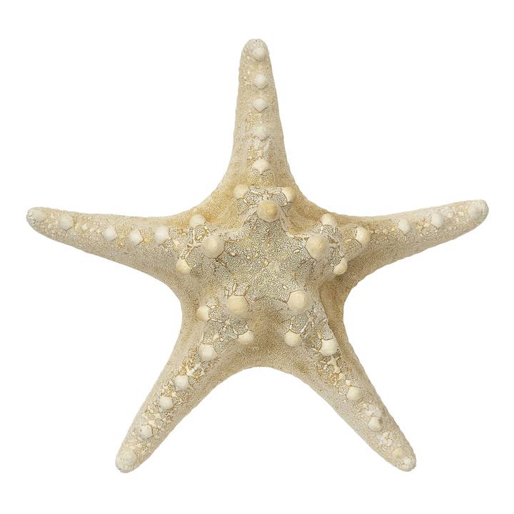 HS Seashells - Wholesale Decorative Tabletop Object - White Knobby Starfish 8-10"