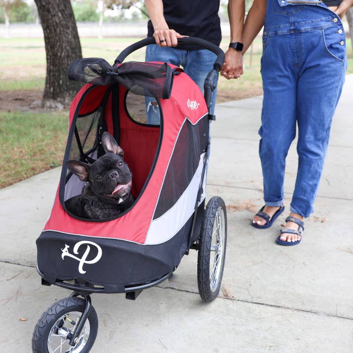 Only An Ocean Europe - Wholesale Pet Carrier - Cat/Dog - Petique Trailblazer Pet Jogger23