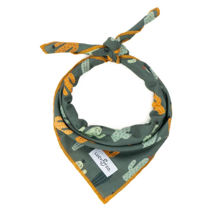 Looking Sharp Bandana for wholesale by Lucy & Co.