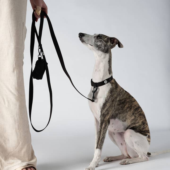 Barkalot - Wholesale Pet Leash - Dog - Pitch Black Dog Leash3