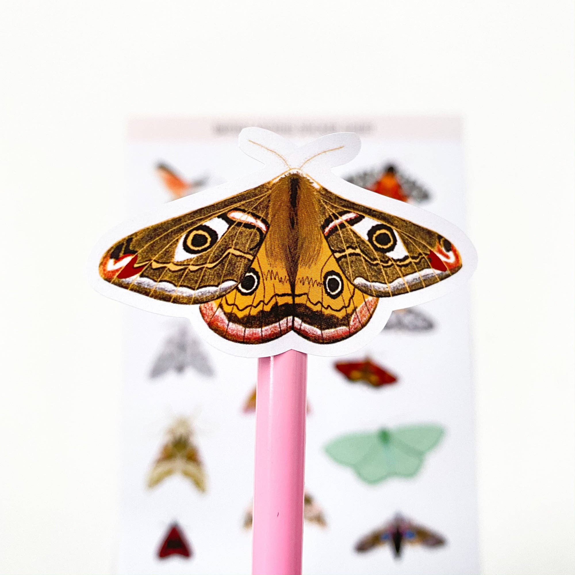 Sarah Frances - Wholesale Sticker - British Moths Stickers1