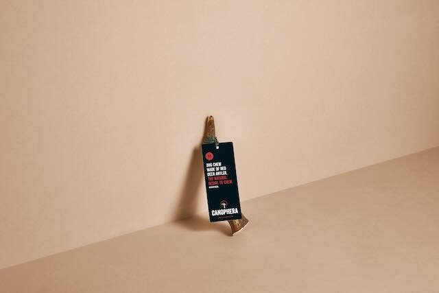 CANOPHERA LLC - Wholesale Pet Chew Toy - Dog - Dog Chew Made of Red Deer Antlers.2