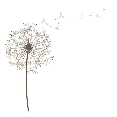Dandelion Grey for wholesale by Bien Ecrit