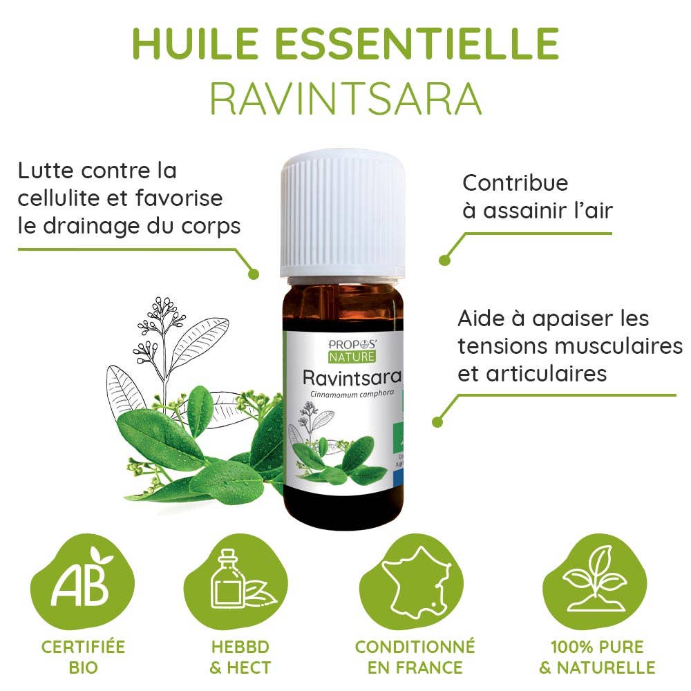 Propos'Nature - Wholesale Essential Oil - Organic Ravintsara Essential Oil 10ml5