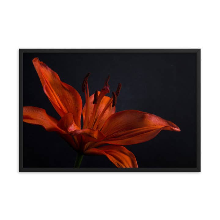 Nénuphar orange avec rétroéclairage, motif floral, art encadré par des photos pour la vente par Pipa Wall Art & Home Decor