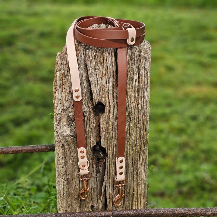 Trinkety Paws - Wholesale Pet leash – Dog - Waterproof BioThane handsfree Dog Training / Multiway Lead11