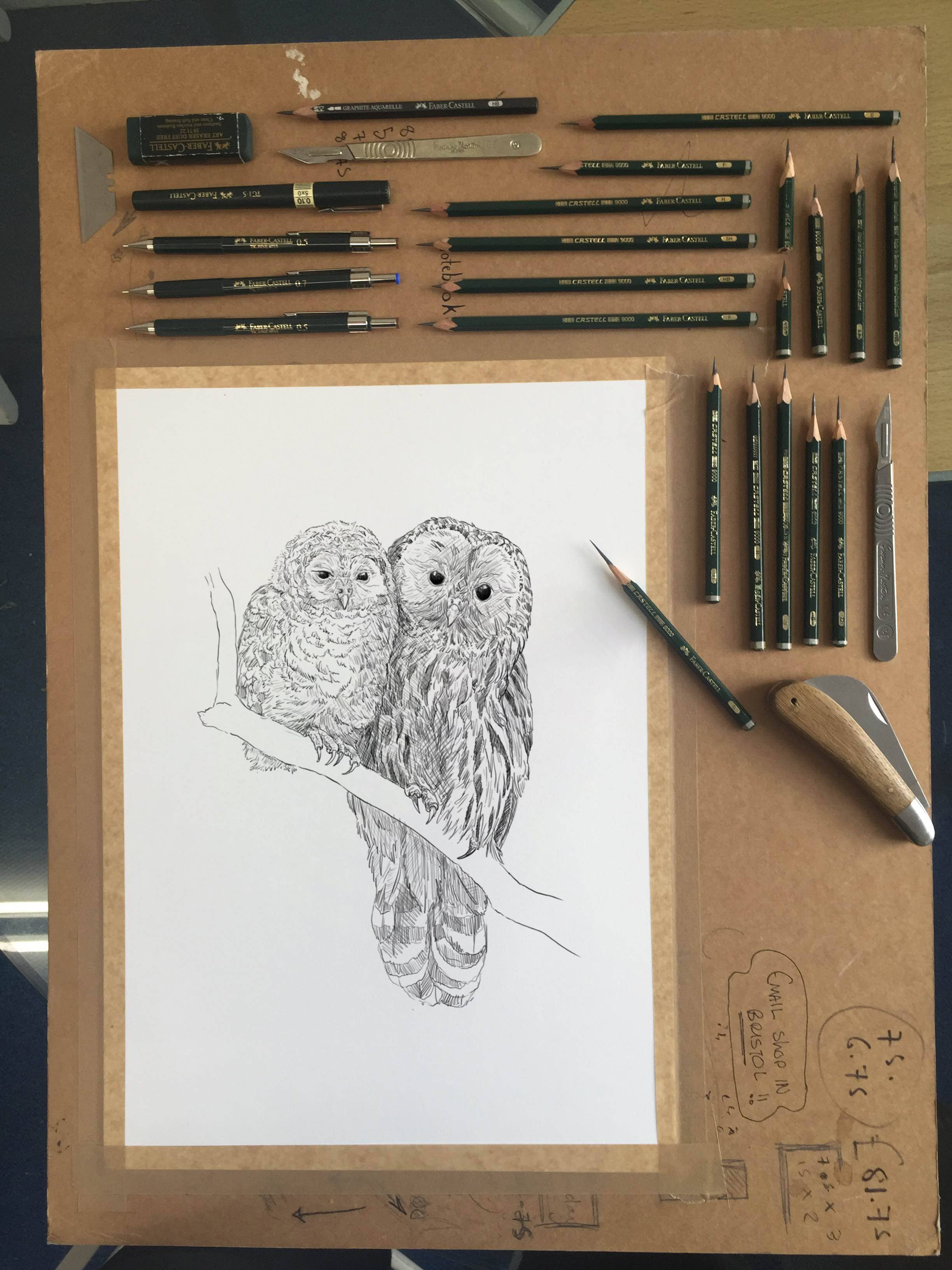 Hidden Planet – wholesale Valentine's Day card – Barred Owls - Cute Card2