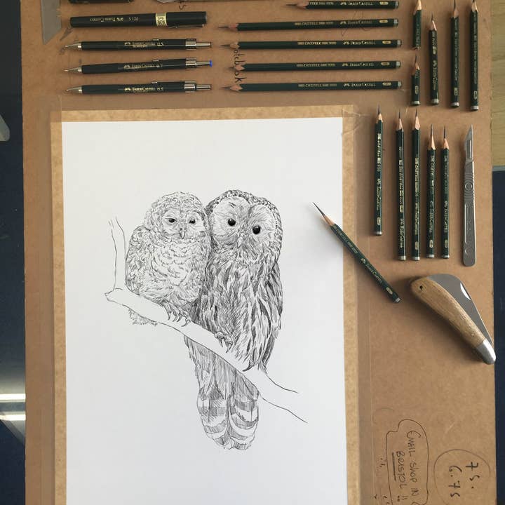 Hidden Planet – wholesale Valentine's Day card – Barred Owls - Cute Card2