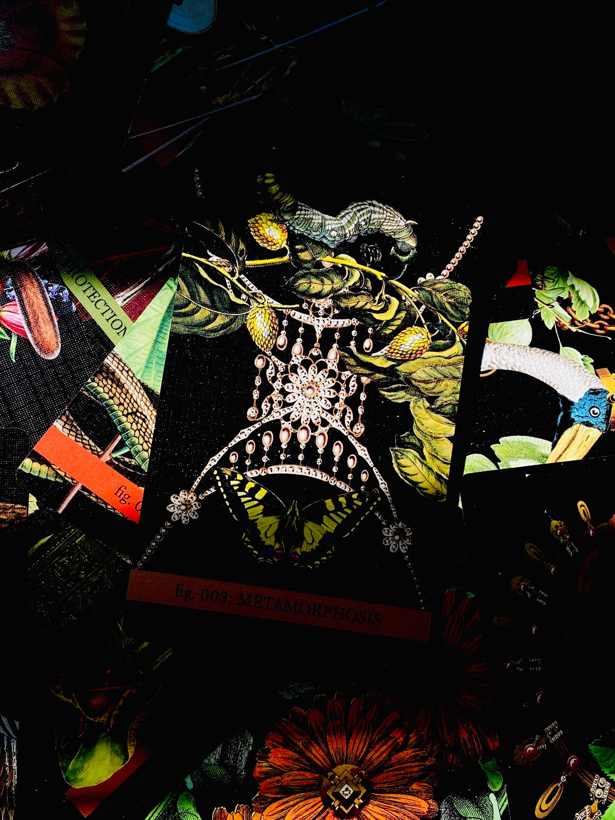 Cosmic Butcher - Vendita all'ingrosso Tarocchi - Mazzo Oracle e Lenormand «Eternal Gardens» | Indie Tarot Deck11