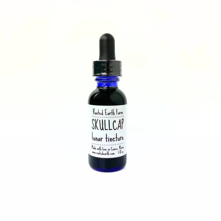 Rooted Earth Farm + Apothecary - Wholesale Tincture - Skullcap Tincture - 2 Size Options3