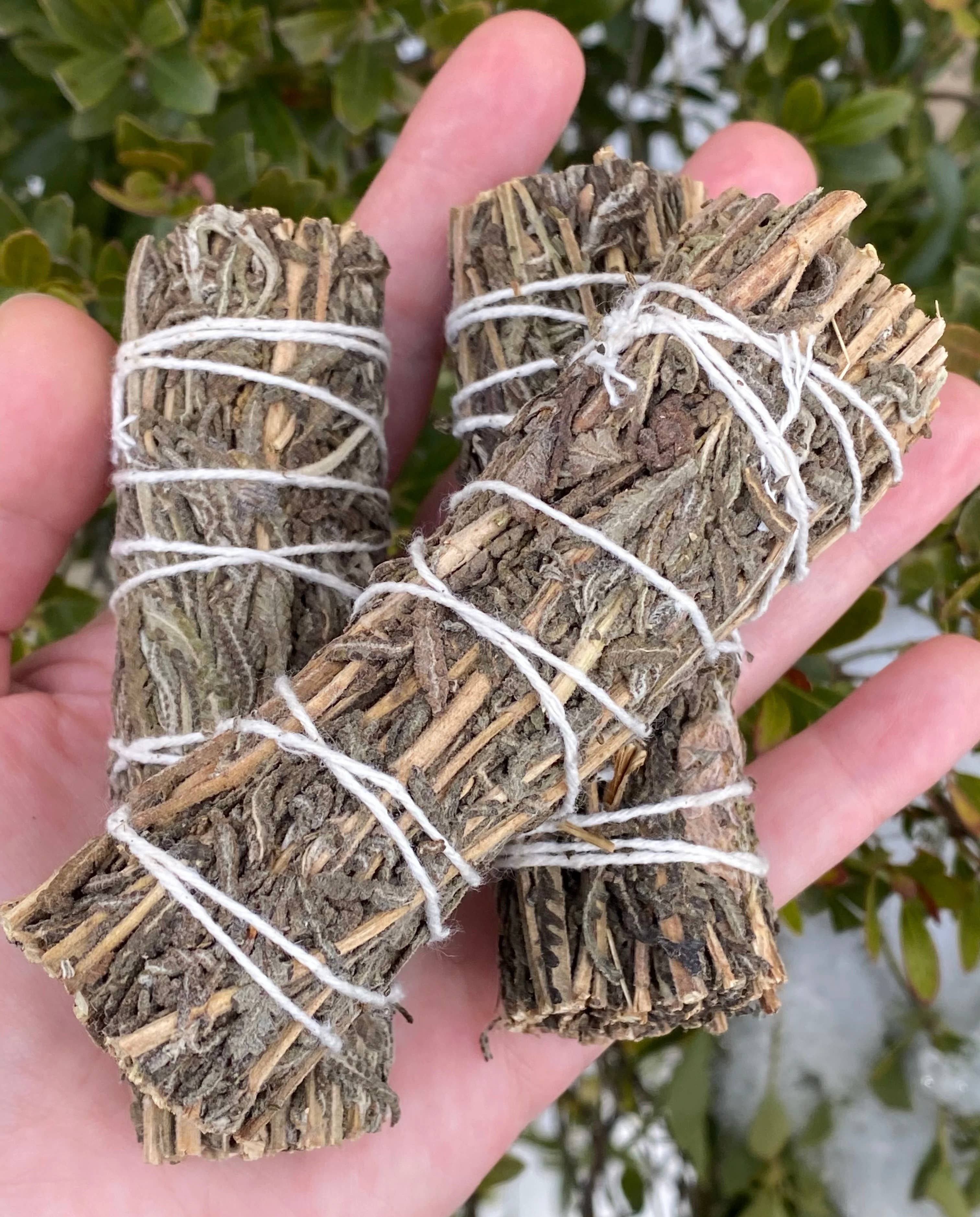 Essential Sage - Wholesale Sage Bundle - Bulk Lavender Smudge Bundles0