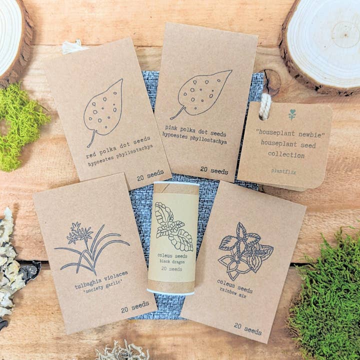 Plantflix - Wholesale Plant Seeds - Houseplant Seed Collections