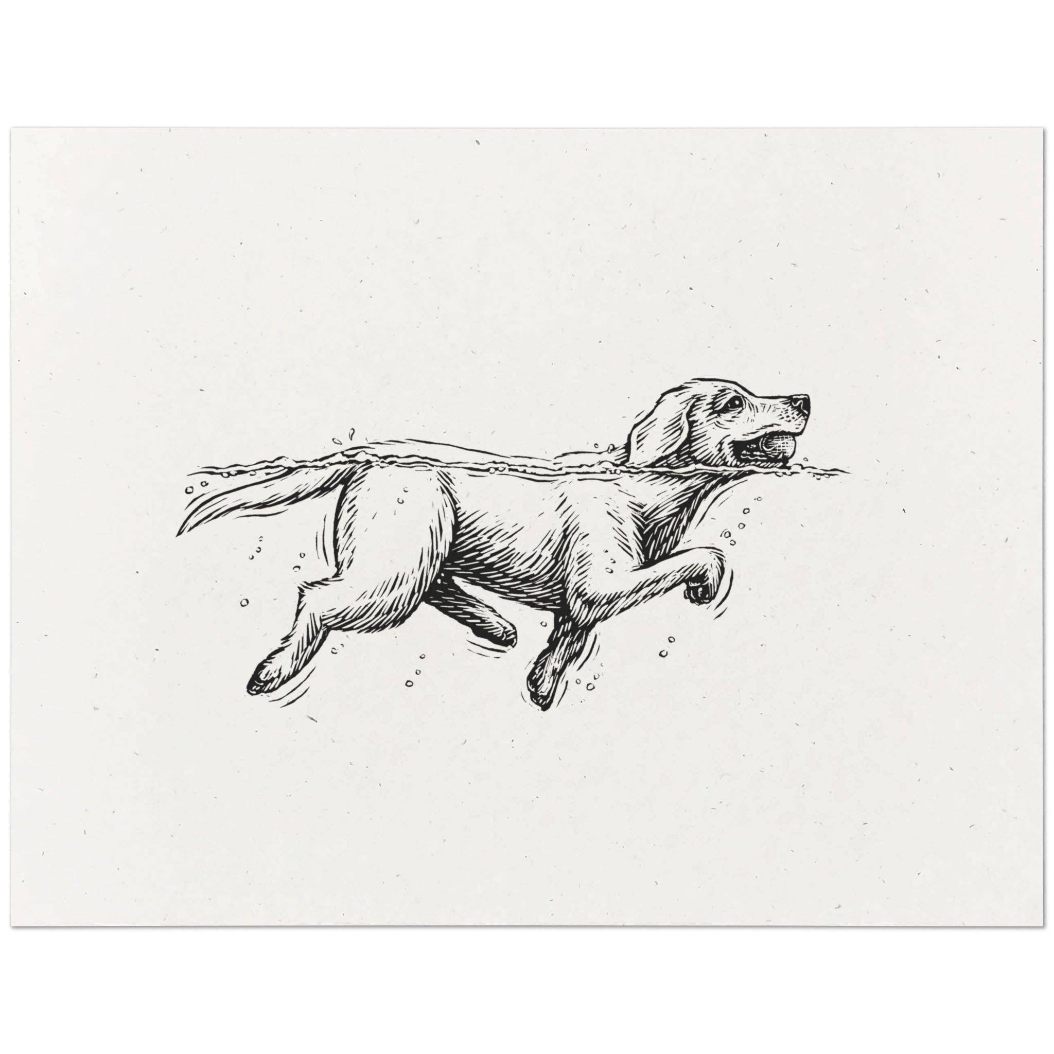 Dog Gone Studios - Vente Affiche d'art - Imprimé Labrador Retriever0