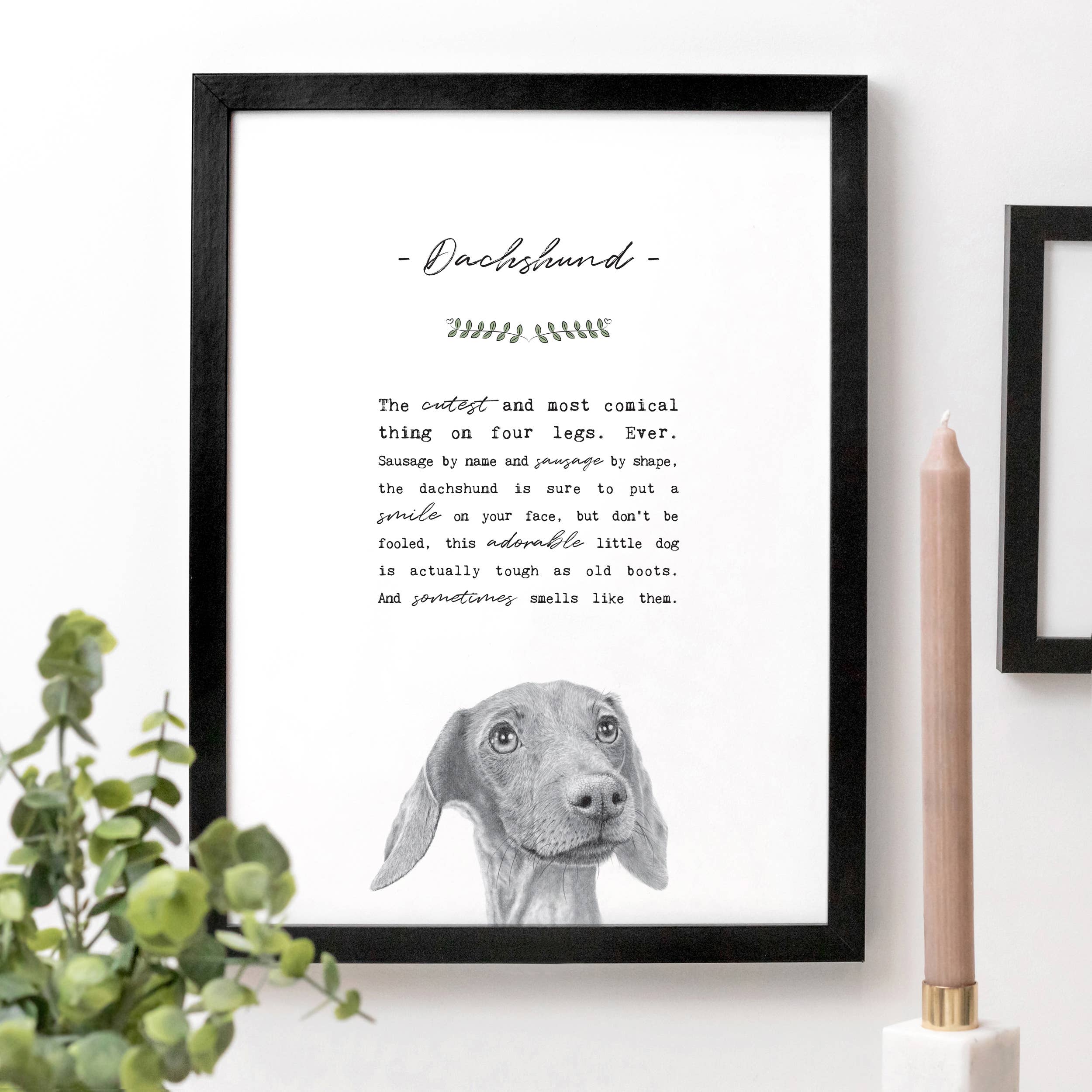 Coulson Macleod (U.S. Duties Paid) - Wholesale Art Print - Best-Selling 'Pooch' Dog Prints with Wooden Display Box10