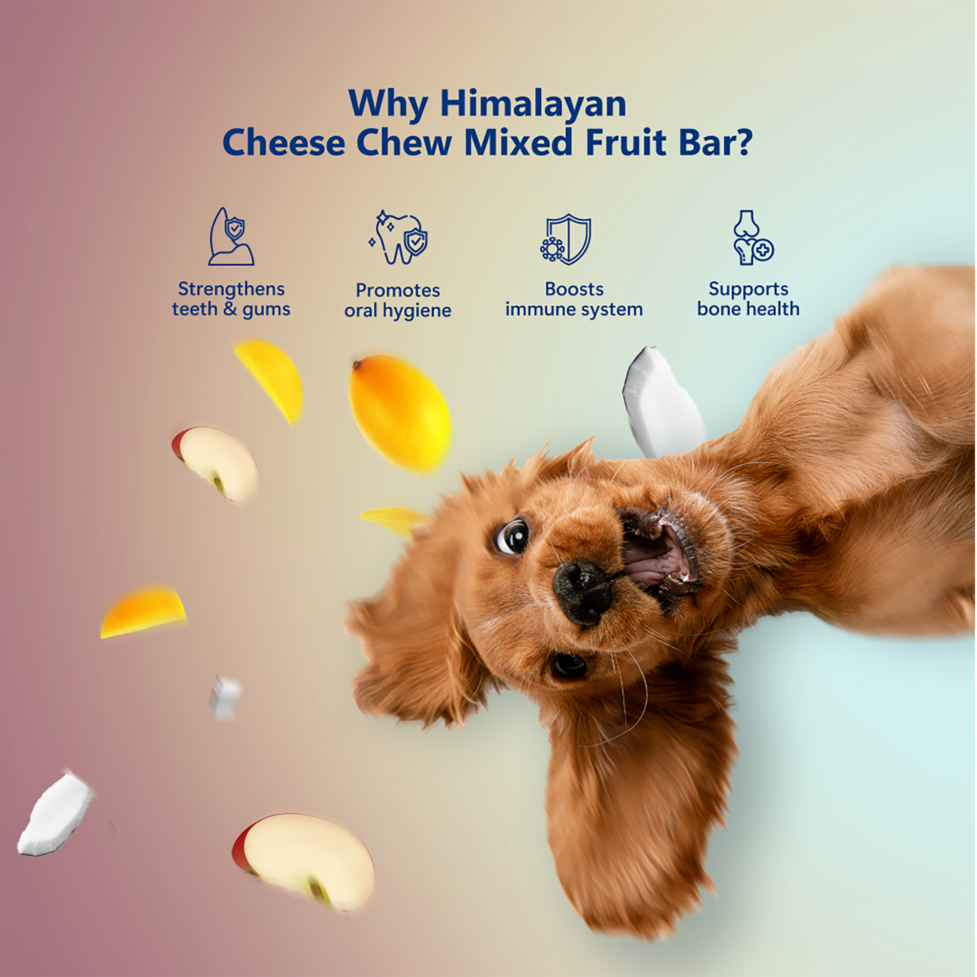 Pawfect Foods – Engroshandel Godbid - Hund – Pawfect Himalaya Ostetygger med Æble, Mango & Kokos til Hunde | Helt naturlig tandstik | Rig på protein & calcium | Kornfri | Langvarig tygge | Pakke med 33