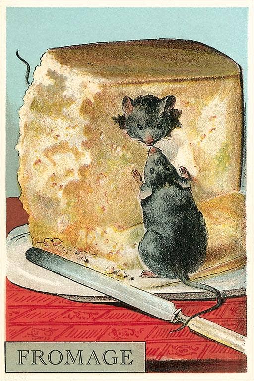 Found Image Press - Wholesale Postcard - Postcard FO-325 Fromage, Mice in Cheese0