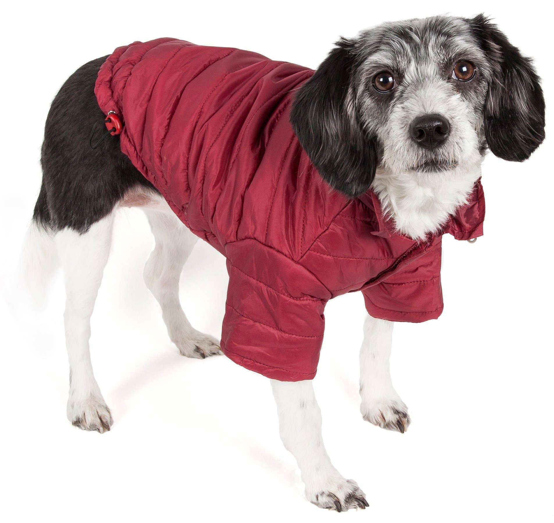 Pet Life – Engroshandel Overtræk - Hund – Letvægts Justerbar 'Sporty Lavine 'Pet Coat14