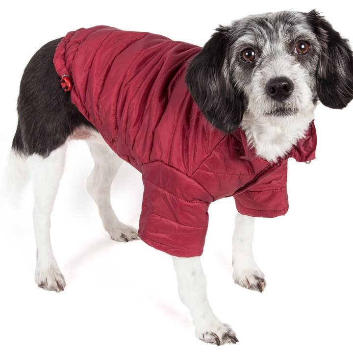 Pet Life – Engroshandel Overtræk - Hund – Letvægts Justerbar 'Sporty Lavine 'Pet Coat14