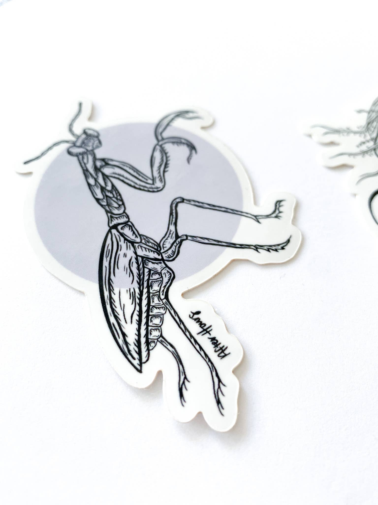 After Hours Creative - Venta al por mayor Pegatina - Pegatina Mantis Rezando3