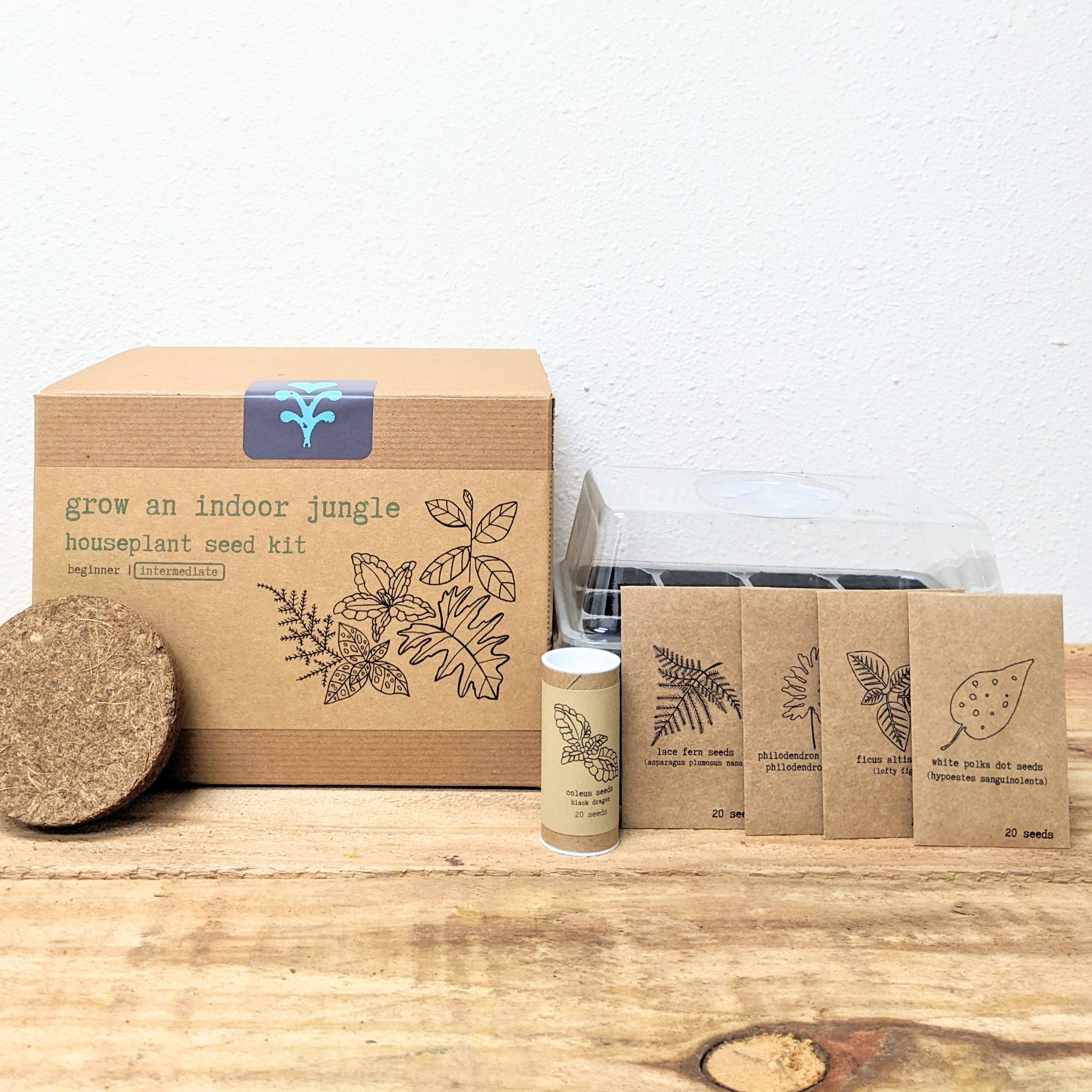 Plantflix - Vente Graines de plantes - Kit de graines pour plantes d'intérieur « Grow an Indoor Jungle »1