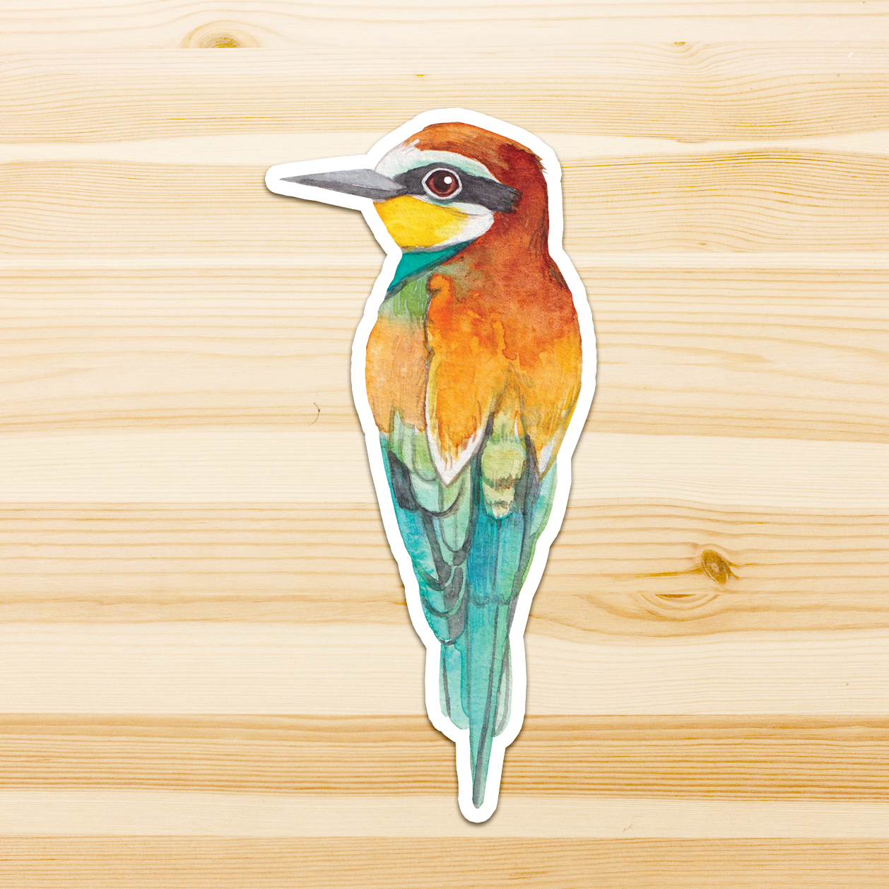 Watercolour By Cat - Vendita all'ingrosso Adesivo - Adesivo in vinile con grande uccello australiano29