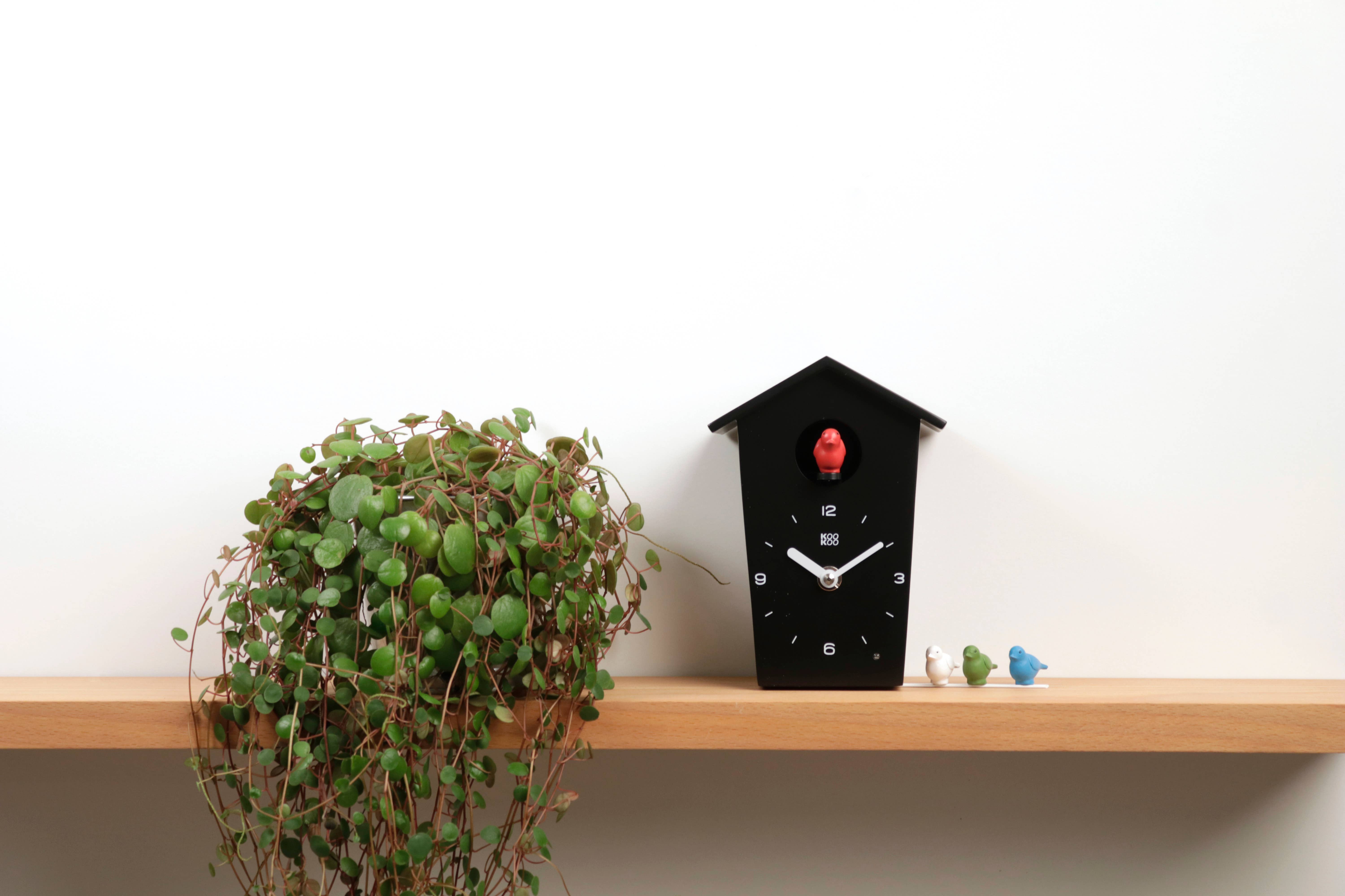 KooKoo GmbH - Wholesale Wall Clock - KOOKOO BirdHouse mini (black, white)9