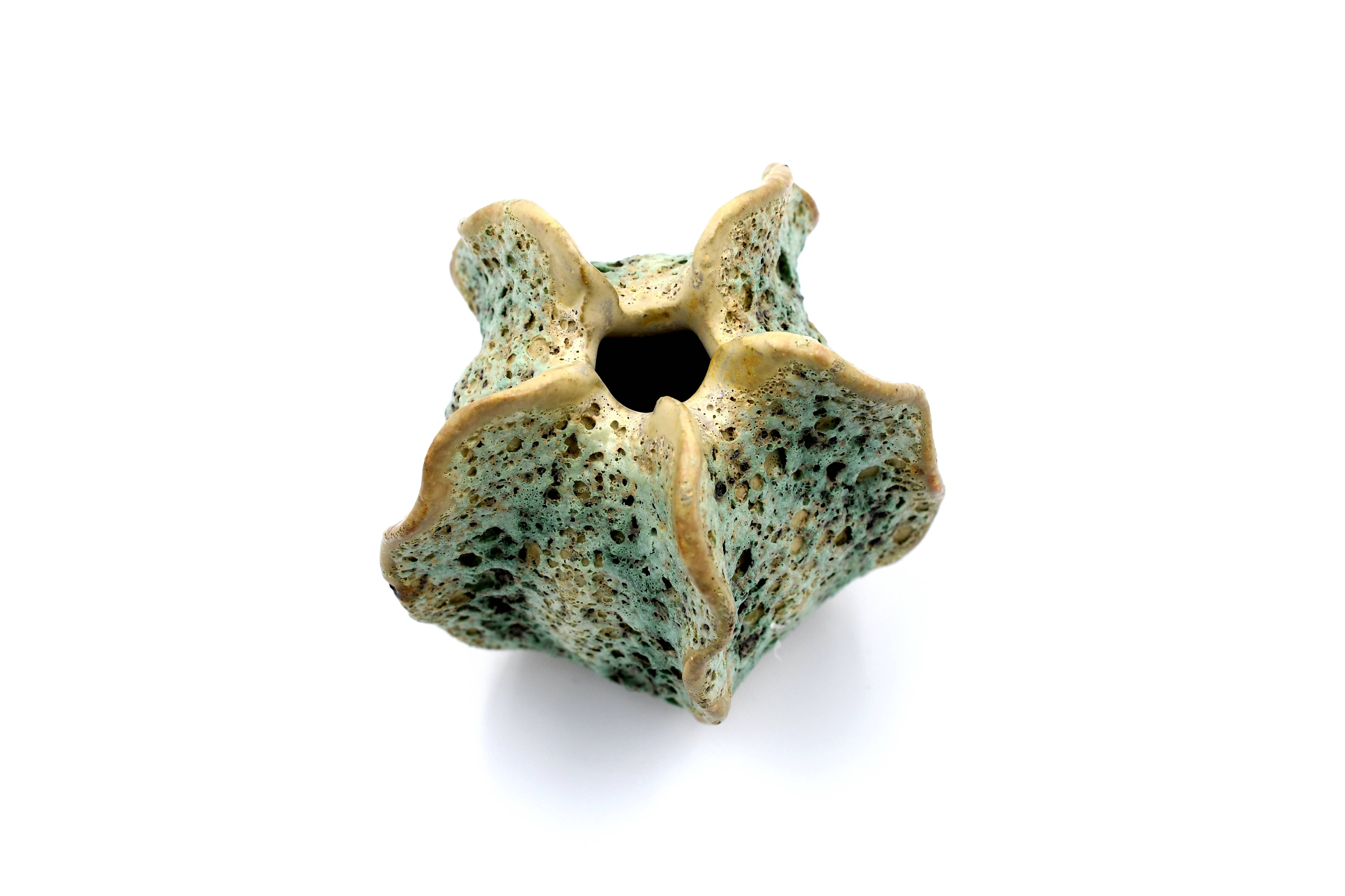 Art Floral Trading LLC - Venta al por mayor Pufs/esponjas de baño - Mini esponja de baño verde musgo de lufa3