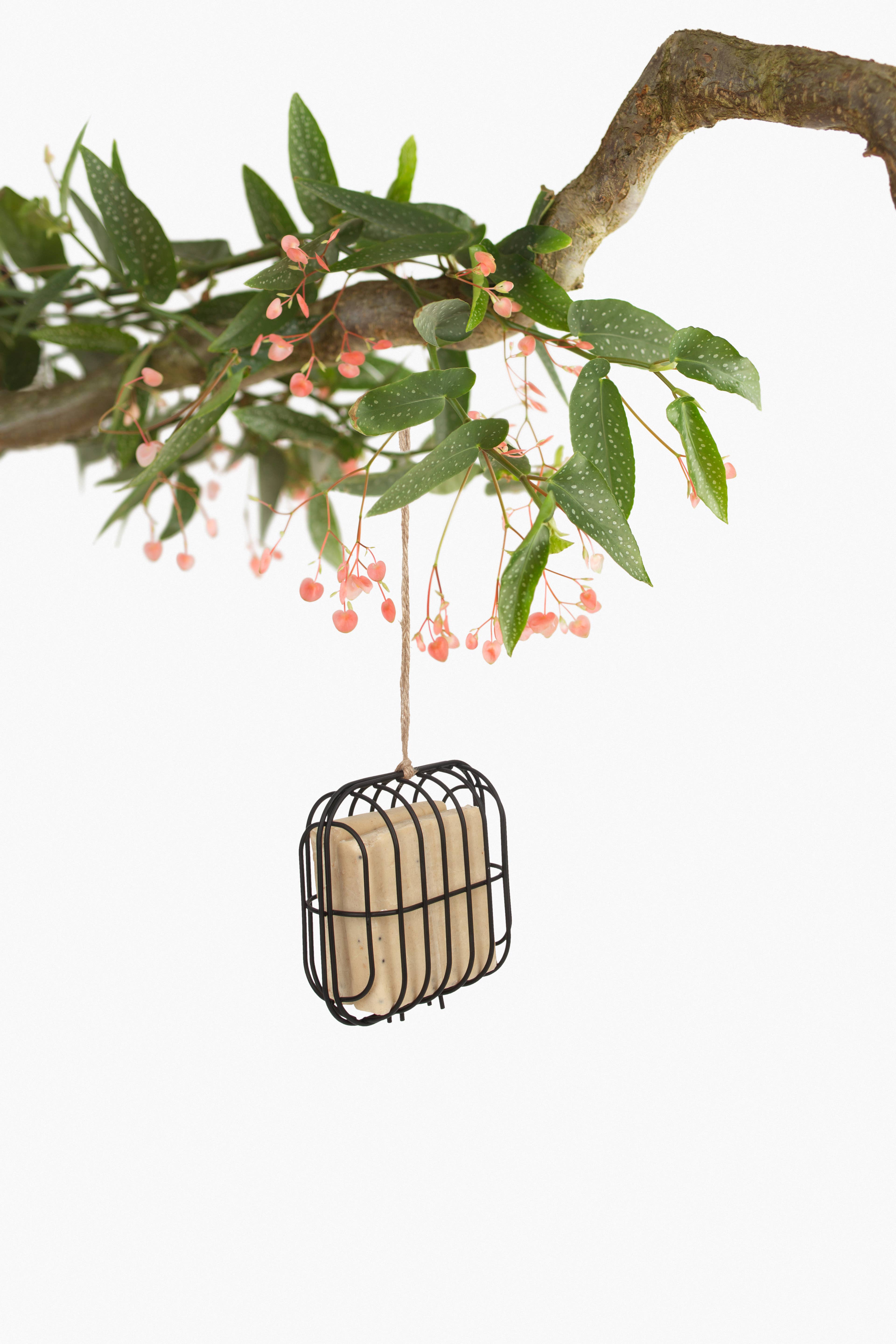 SingingFriend – Alimentador de pássaros por atacado – Comedouro metálico Hello Dex para pássaros0