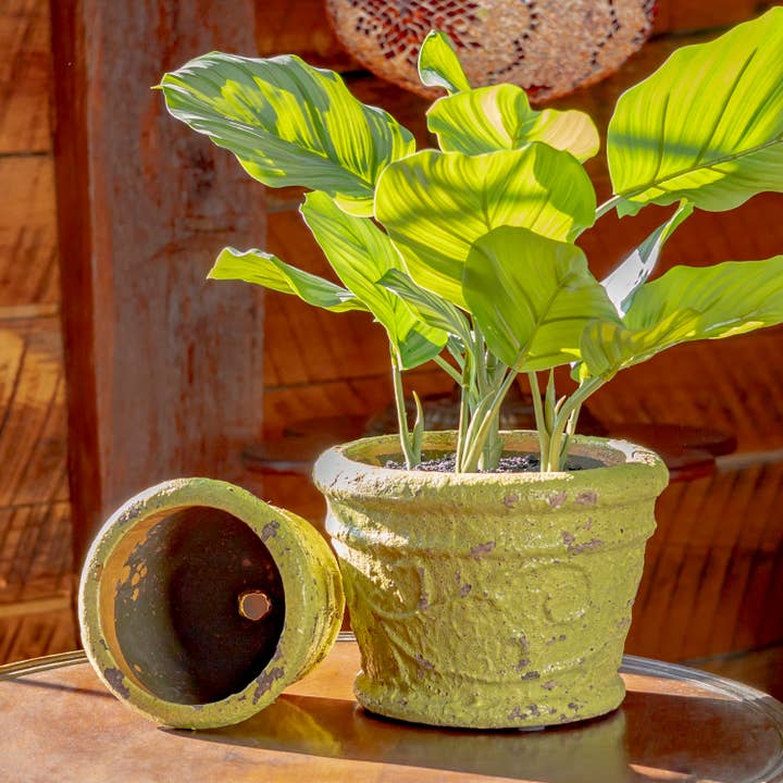 Zaer Ltd. International - Wholesale Plant Pot - 2 Assorted Tuscan Style Round Ceramic Flower Pots3