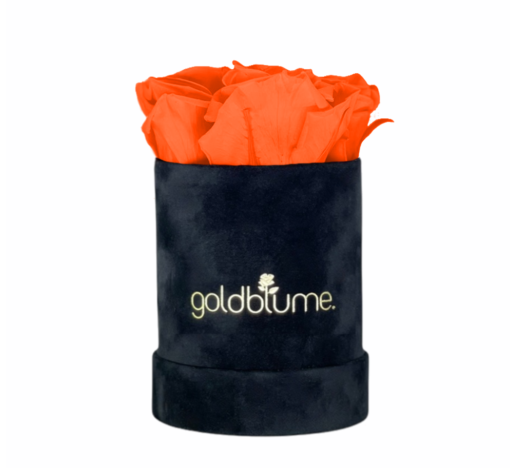 goldblume - Wholesale Artificial Flowers - Velvet black collection83