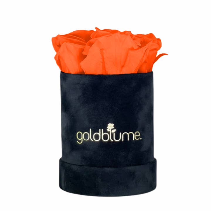 goldblume - Wholesale Artificial Flowers - Velvet black collection83