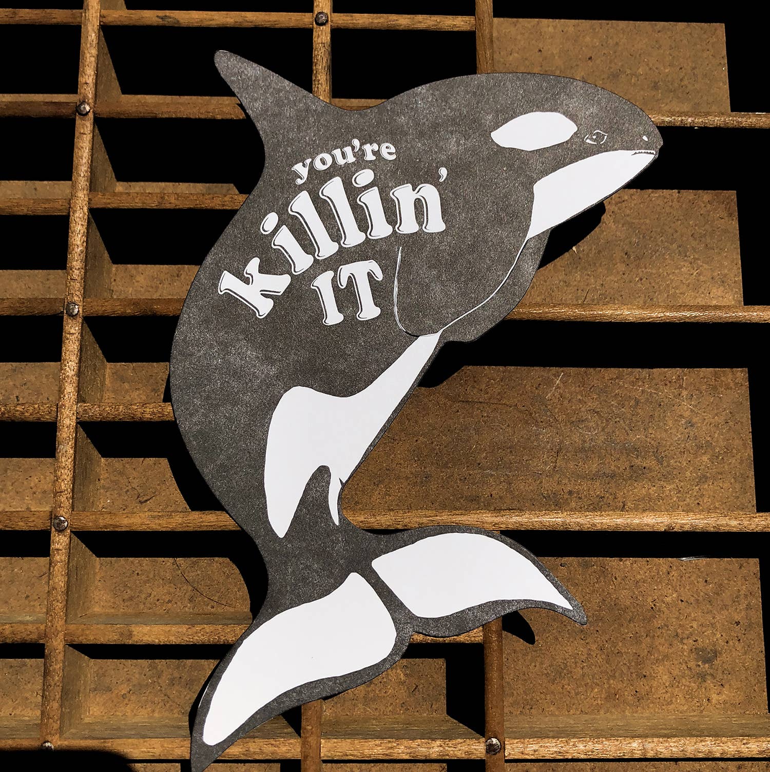 Blackbird Letterpress - Wholesale Everyday Greeting Card - killin' it killer whale gift card2