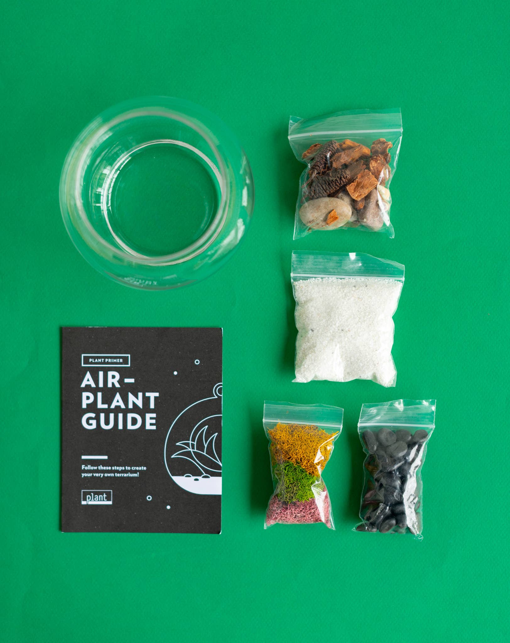 Plant Shop - Wholesale Terrarium - New* Airplant Terrarium Kit : Globe1