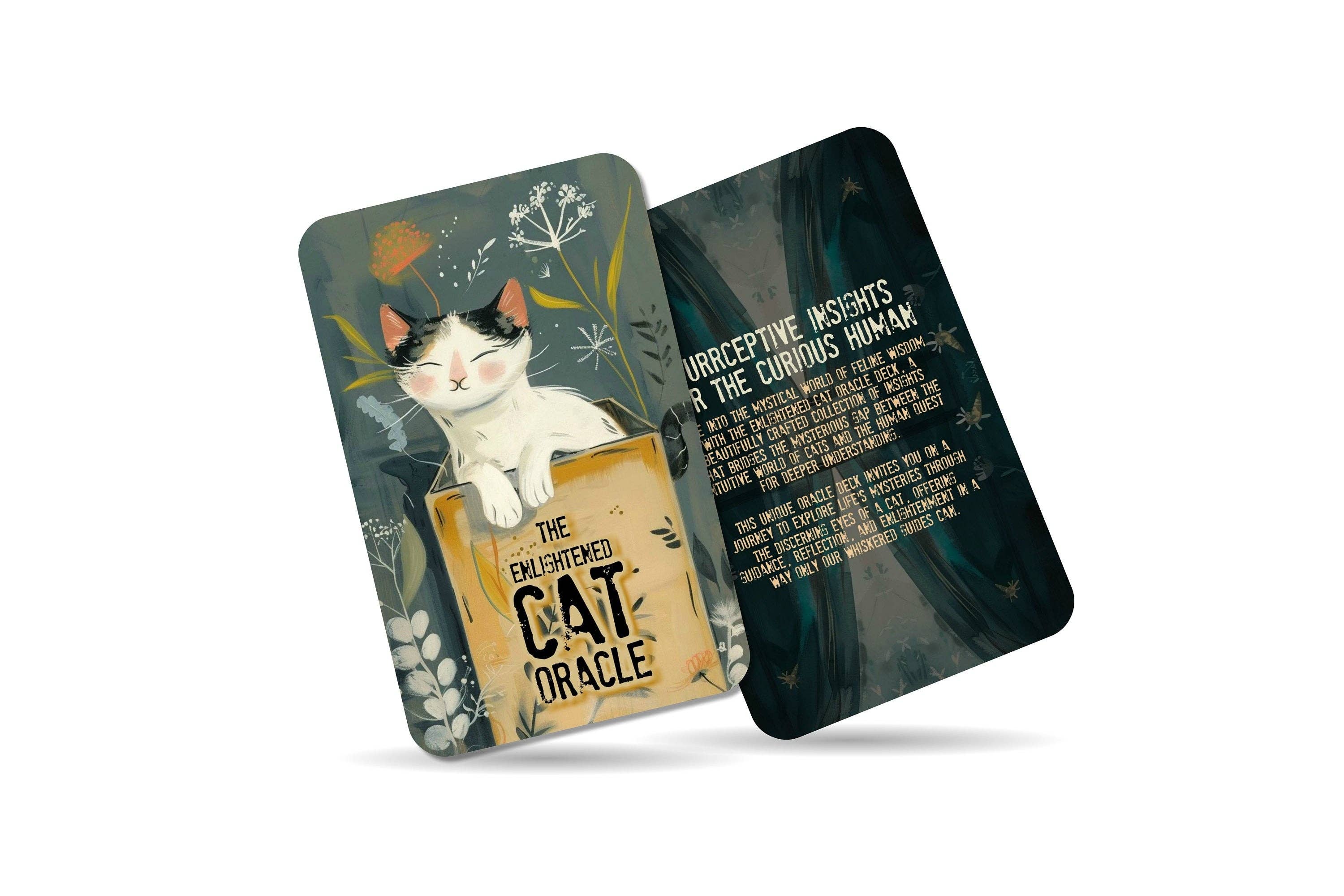 IBIZA TAROT - Vendita all'ingrosso Tarocchi - L'Oracolo del Gatto Illuminato: Intuizioni Purrcettive1