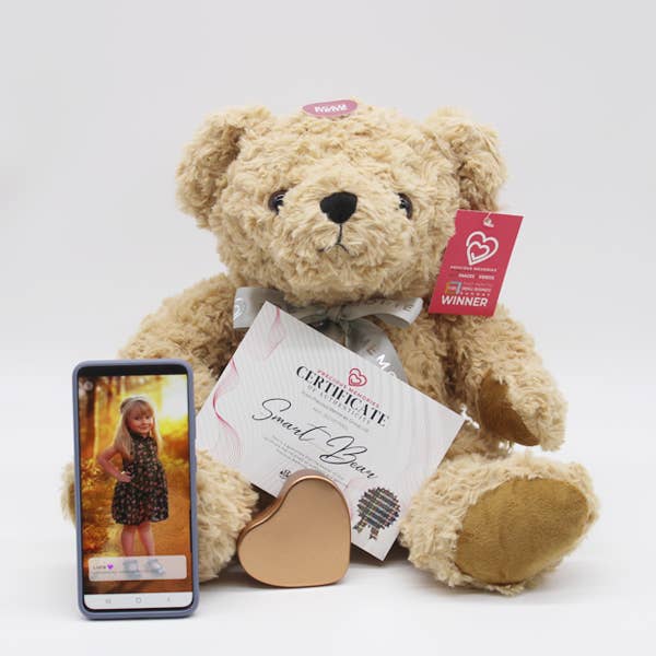 Precious Memories - Wholesale Stuffed/Plush Toy - Kids & Baby - Gorgeous Soft to Cuddle Memory Bear for a Token of Ashes3