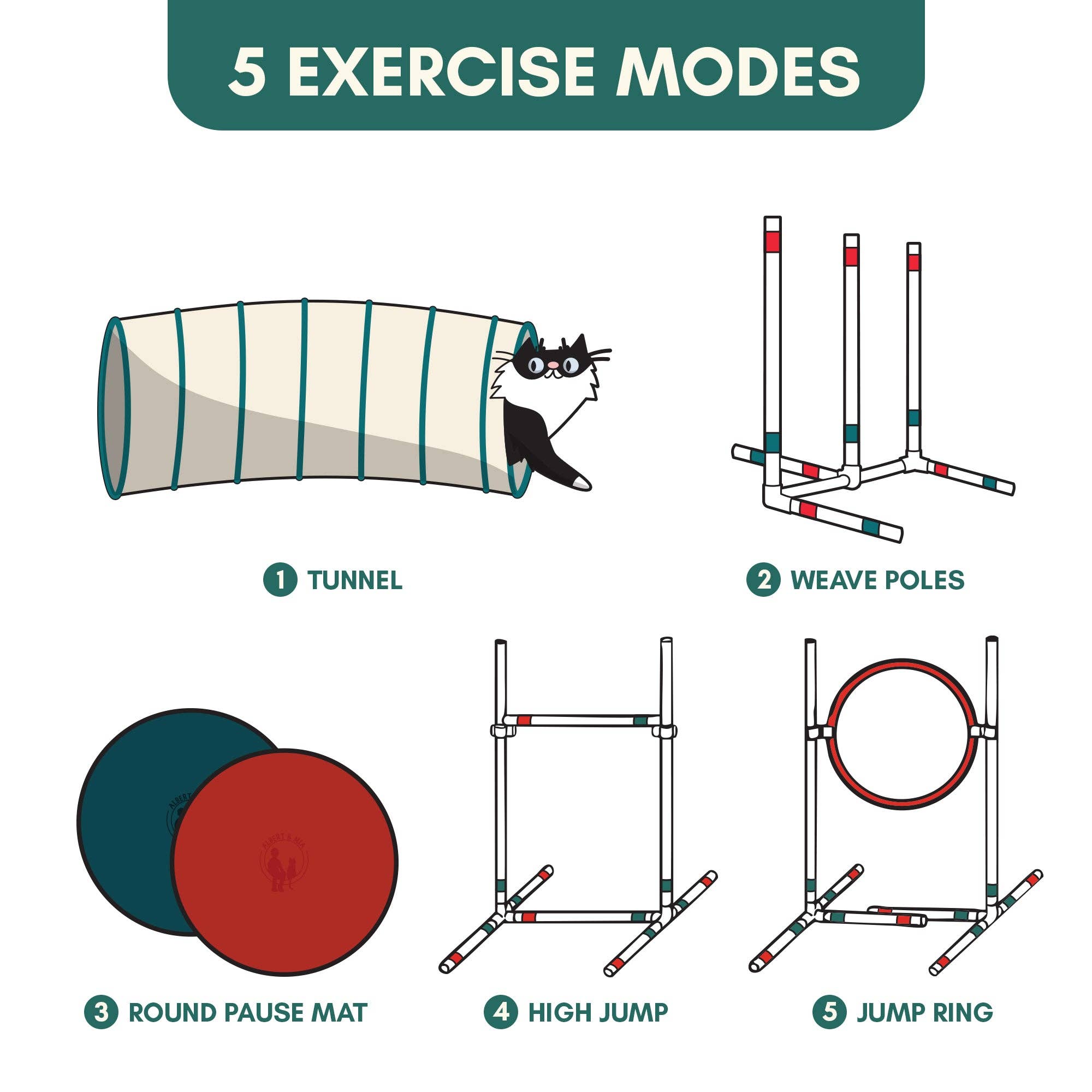 Outdoor Bengal - Wholesale Pet Toy - Cat - CATGILITY™ Agility Kit for Cats2