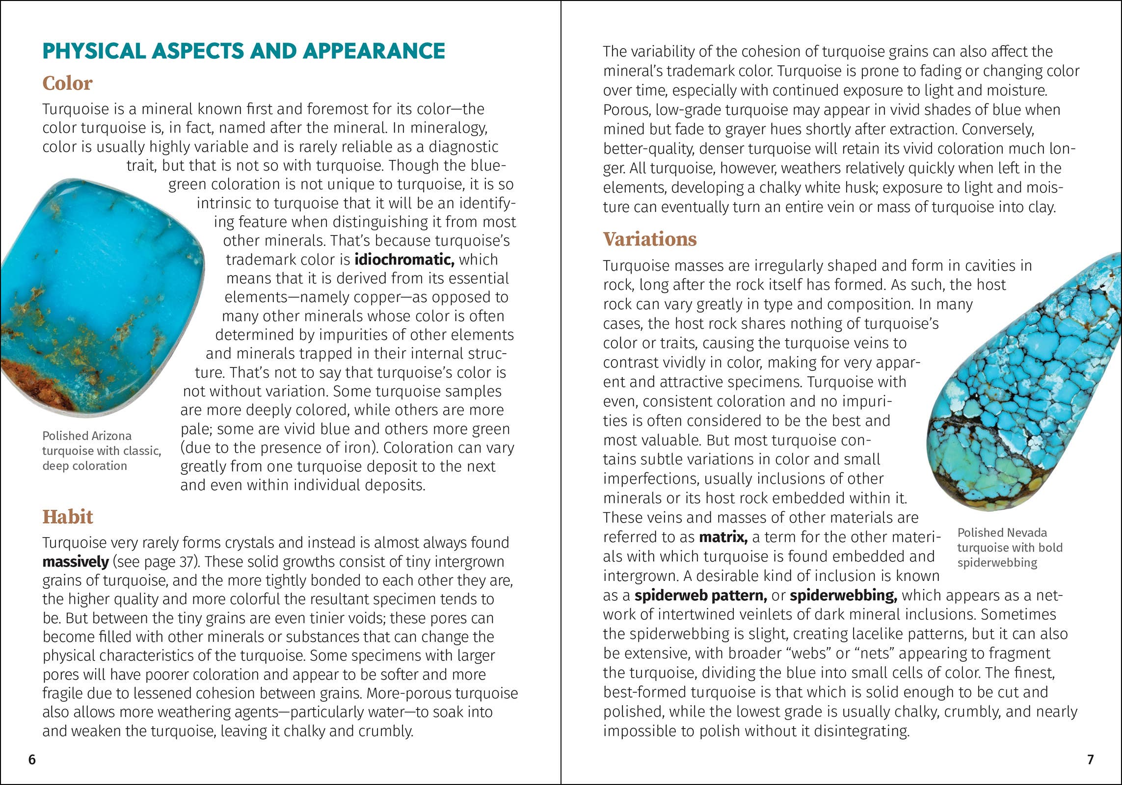 AdventureKEEN - Wholesale Nature & Outdoors - Turquoise6