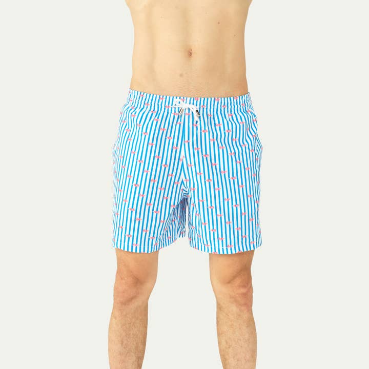 Ajolote Collection | Premium Swim Trunks for wholesale by Swim Matching