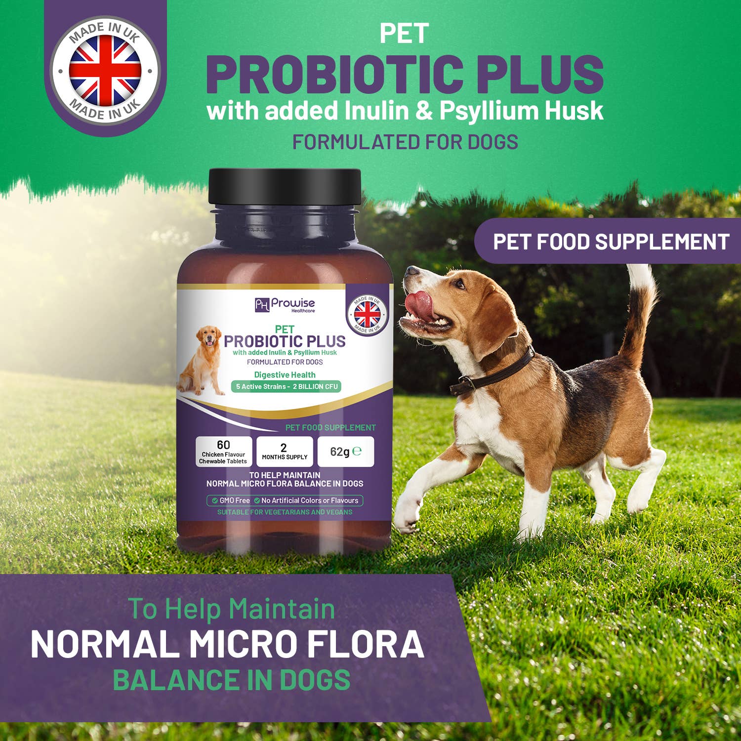 Prowise Healthcare - Wholesale Pet Supplement - Cat/Dog - Pet Probiotic Plus with Added Inulin & Psyllium Husk 2 Billi2