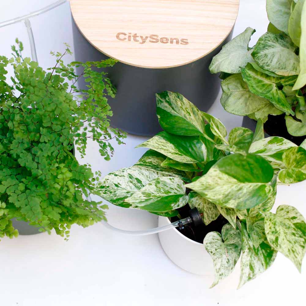 CitySens - Venta al por mayor Regaderas - Sistema de riego por goteo automático con tanque de agua6